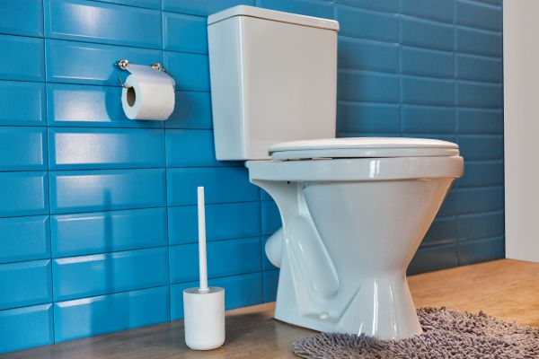 Cost of Toilet Tank Repair in Olathe