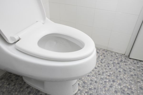 Cost of New Toilet Installation in Olathe