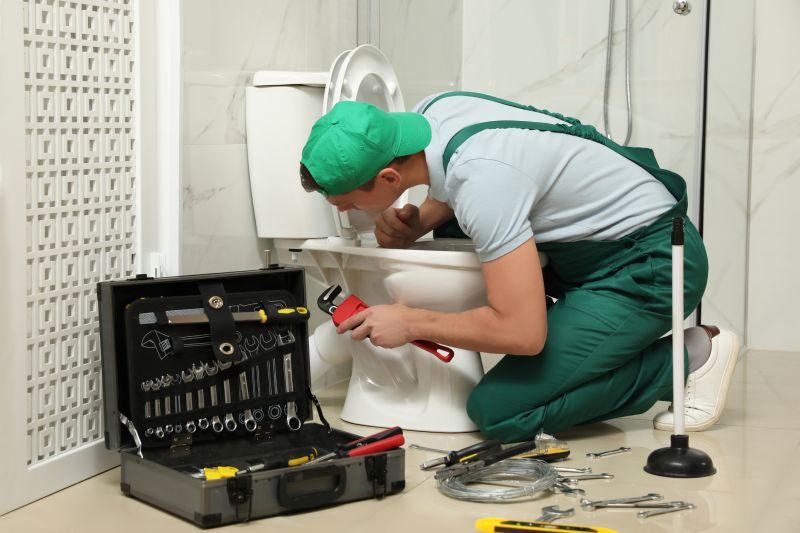 Backed Up Toilet Repair