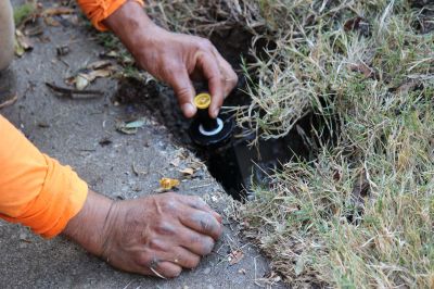 Plumbing Maintenance in Spring