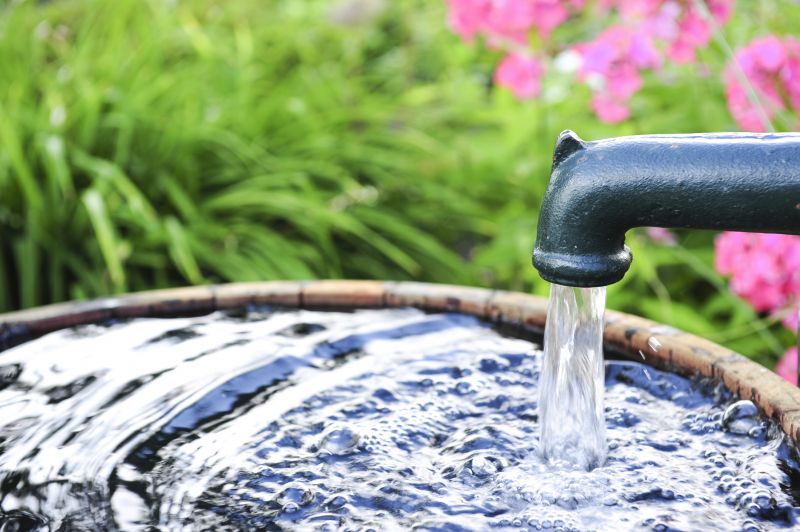 Water Spout Repair